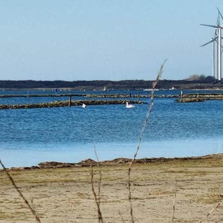 Beach Lodges Oostvoorne Exterior foto